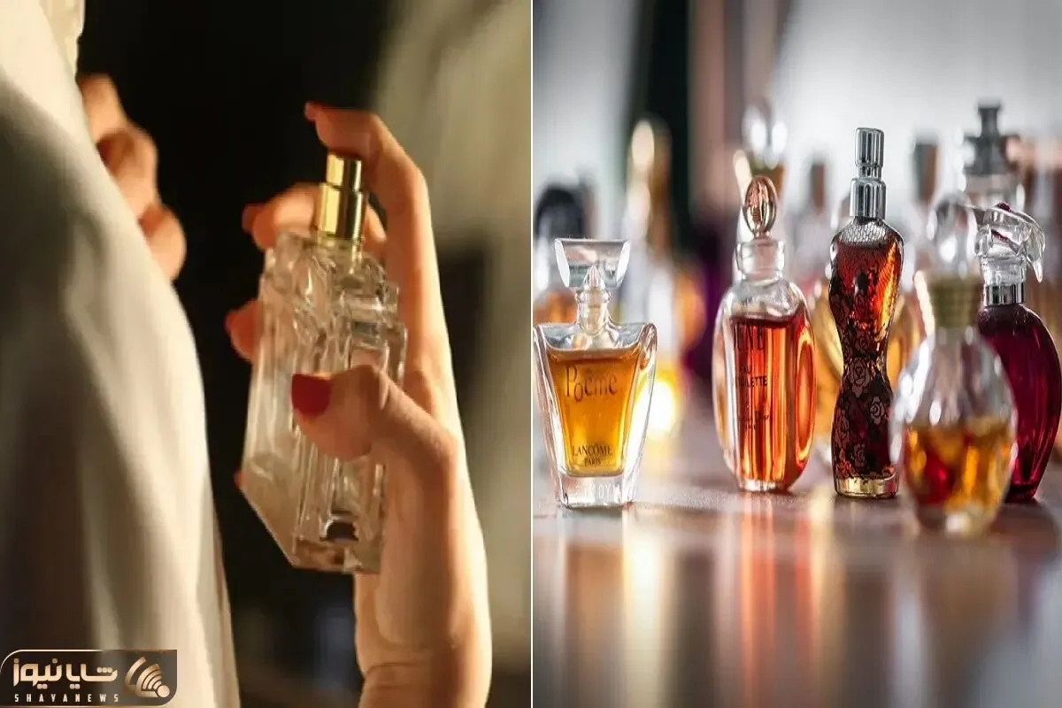ترفند قدیمی در مصر باستان برای موندگاری بیشتر بوی عطر / اینجوری مومیاییشونم خوشبو بود