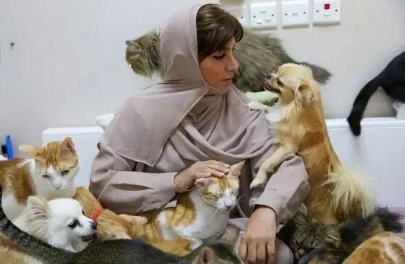 (عکس) مریم زنی با 480 گربه و 12 سگ!