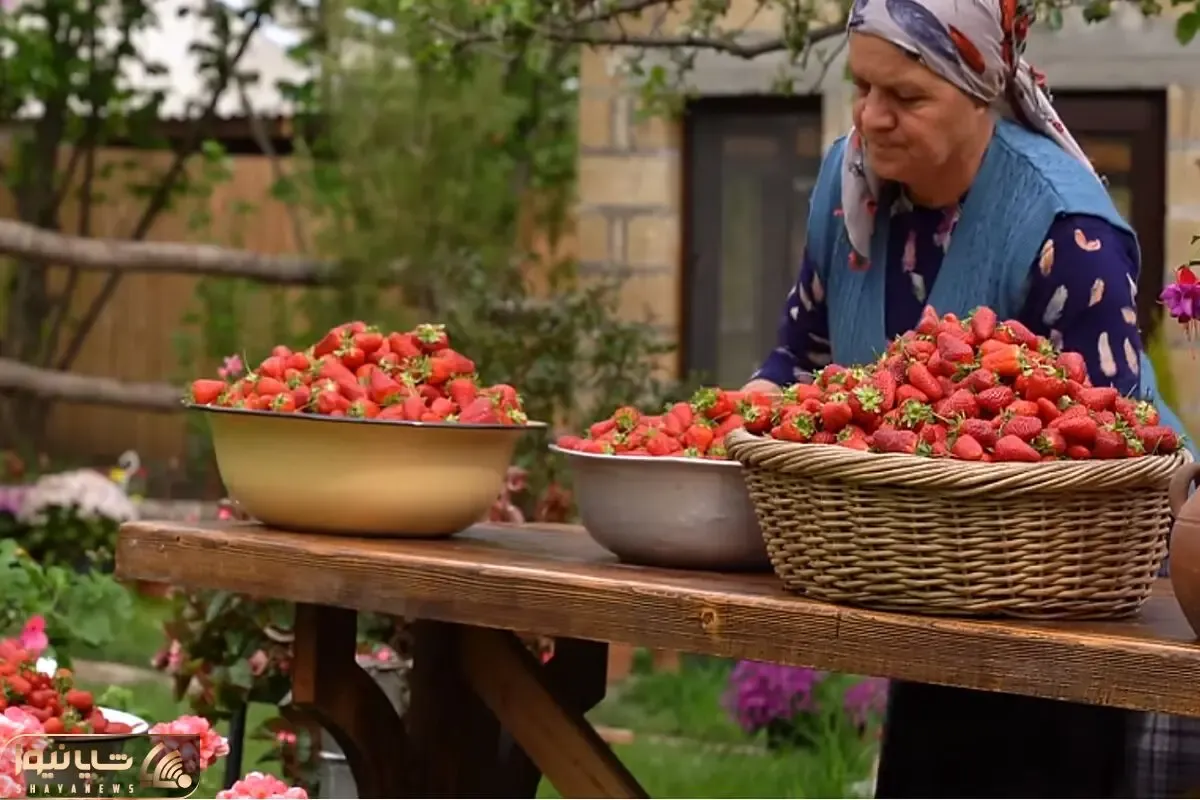 غذای خوش پخت دهاتی؛ تا حالا اینجوری لواشک پخته بودی؟ خانومه تنور داره فقط واسه لواشک