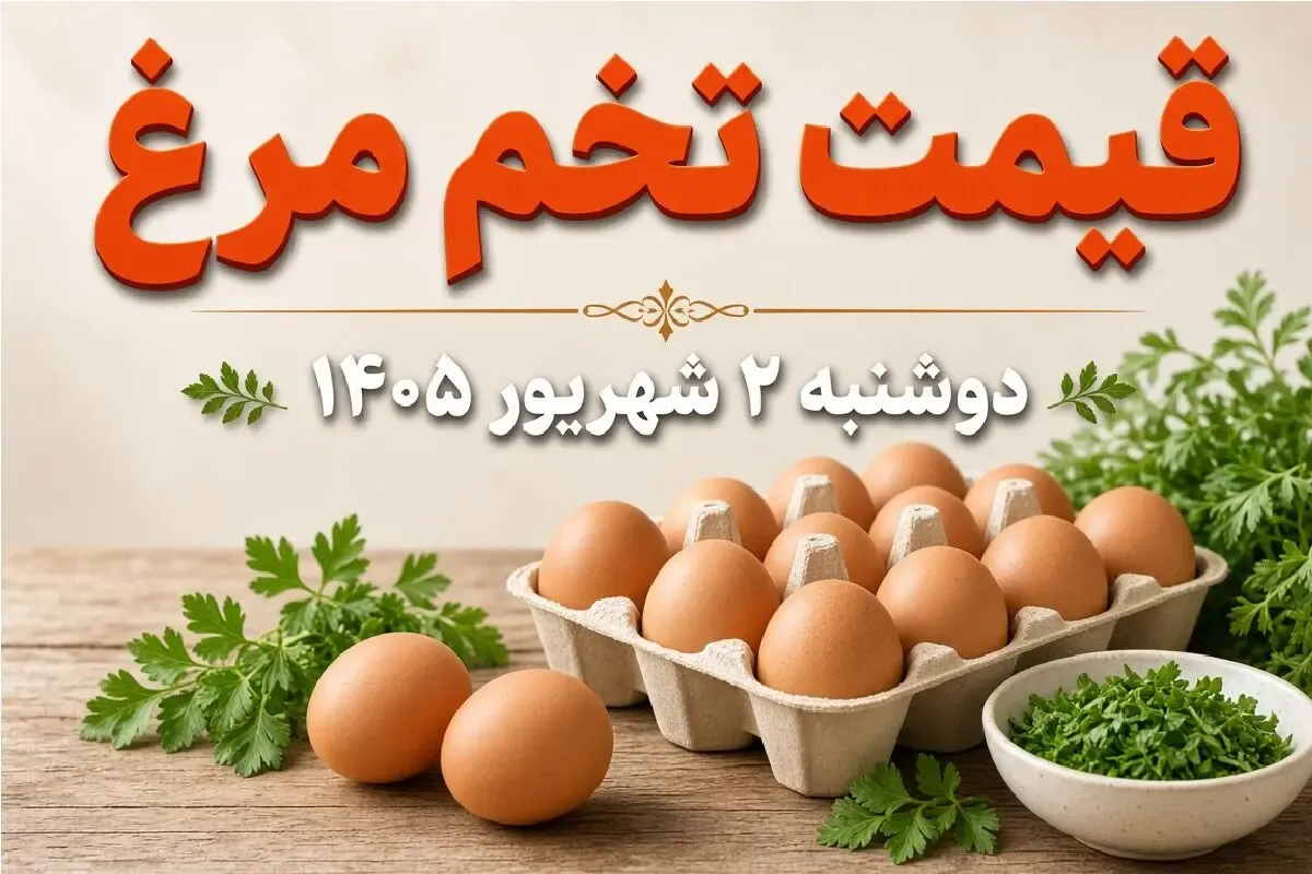 قیمت تخم مرغ امروز دوشنبه 2 شهریور 1405 / شانه 30 عددی چند؟