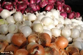 ترفندهای خانه داری؛ پیاز برش خورده، آبپز و سرخ شده چند روز سالم می ماند؟ روش نگهداری