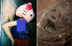 جنون شکنجه زنان/ قاتل پس از تجاوز قربانی را تیکه و در عروسک Hello Kitty مخفی کرد