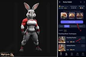 کارت های راکی رابیت (ROCKY RABBIT) امروز چهارشنبه 21 شهریور + آموزش وارد کردن