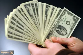 قیمت دلار امروز 29 مهر 1404؛ ریزش سنگین دلار ادامه خواهد داشت؟