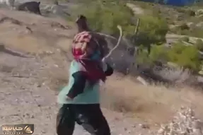 آواز محلی؛ مینی چوپون دیده بودین؟ این دختربچه کوچولو اندازه بره اس ولی چوپونی میکنه