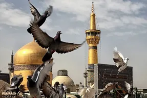 آواز احساسی؛ پسر پر تکبر با چه هق هقی تو حرم امام رضا (ع) میخونه