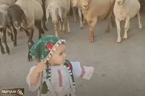 آواز شاد؛ چوپان گوسفندا دختر فسقل با آهنگ آهای دختر چوپون با زبردستی گله رو هدایت کرد