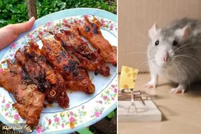 غذای چندش؛ موشارو ضربه مغزی و شکمشونو سفره میکنن بعد کباب زدن با ملچ مولوچ میخورتشون
