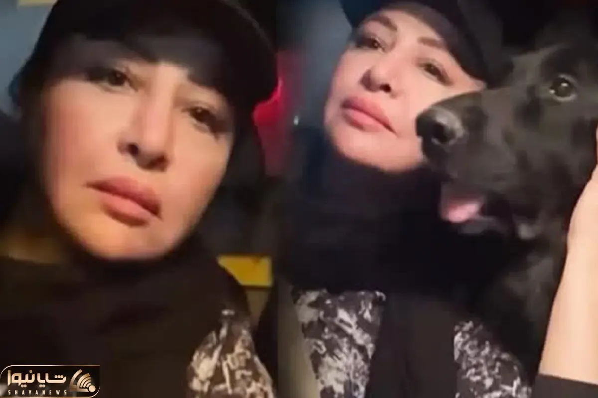 آواز احساسی؛ مه لقا باقری تولد 45 سالگیو تو ماشین با سگ غولپیکرش جشن گرفت