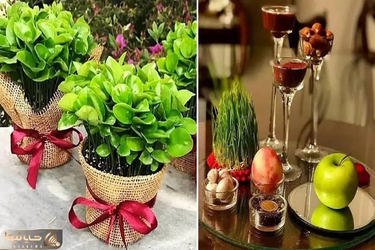 همه واسه هفت سین سبز ه میکارن مثل موهای اژدها / تو آفتابگردون و کدو بکار نازدونه بشه