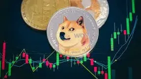 درخواست خارق العاده دوج کوین!