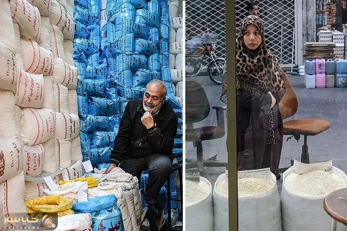 مرغ و گوشت را که از سفره ملت حذف کردید، حالا نوبت برنج است؟ تصمیم هیجانی جدید دولت