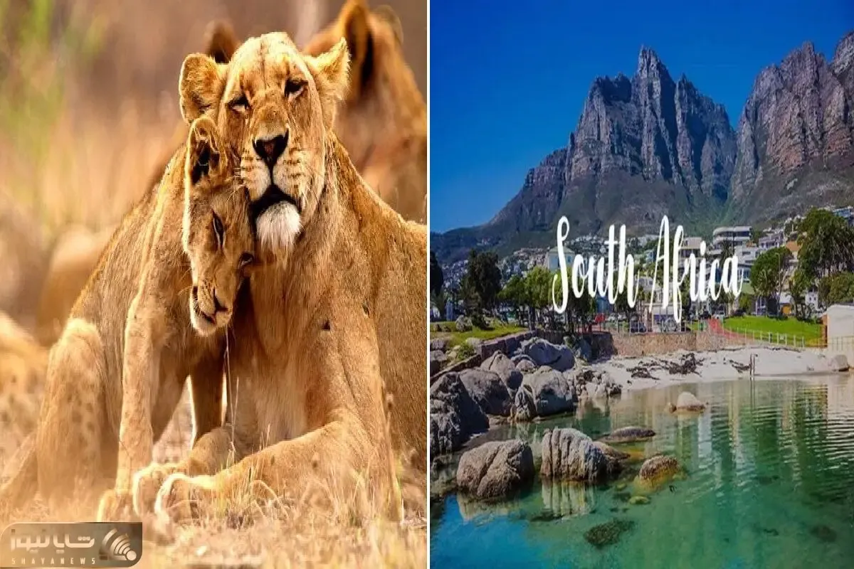 تور آفریقای جنوبی / یه تجربه ی متفاوت با پارک های آبی تو دل جنگل و سافاری وسط شیرها