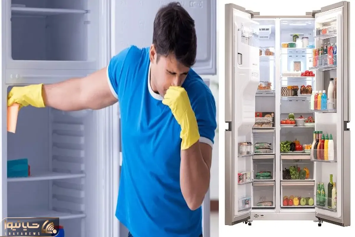 ترفندای تمیز کردن و رفع بوی بد یخچال / خیلی ساده بوی خوب یخچال رو به خودت هدیه بده