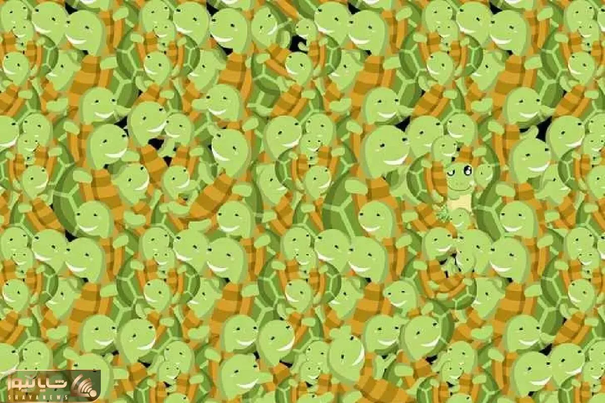 بازی فکری؛ برای پیدا کردن وزغ پنهان شده بین لاک‌پشت‌ها به بینایی بسیار تیزی نیاز داری