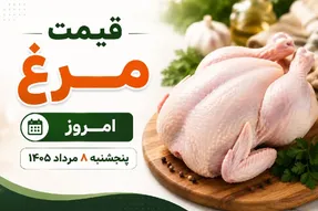 قیمت مرغ امروز پنجشنبه 8 مرداد 1405 / فیله و سینه چقدر شد؟ + جدول