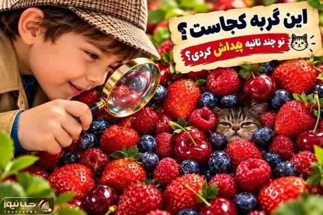 بازی فکری؛ گربه خواب آلود را بین کلی میوه قرمز پیدا کن!
