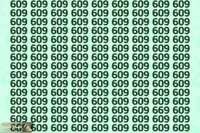 تست هوش تصویری با جواب؛ اگه رَنک اول باهوشای جهان خودتی عدد 669 رو تو عکس پیدا کن!