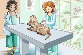 بازی فکری؛ اگه صدر نشین باهوشایی تو 8 ثانیه اشکالات دامپزشکی رو پیدا کن!
