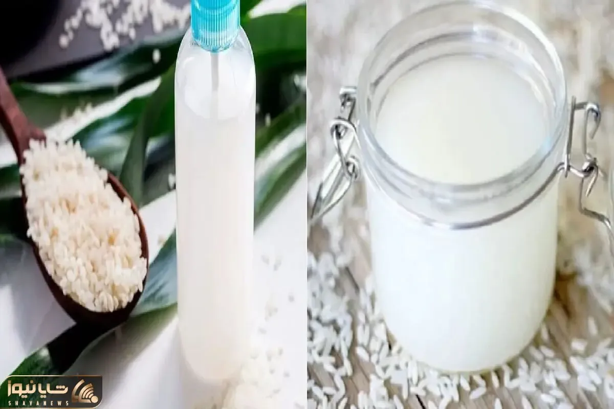 آب برنج رو دور نریز/ راه ساده و ارزان تقویت گیاهان با آب برنج خانگی + روش استفاده