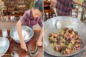 غذای دریایی ؛ مار و زنده زنده مرینت میکنه/ دو دستی افتاده جون مار تا بگیرتش واویلاا