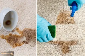 راهنمای تمیز کردن انواع لکه ها از روی فرش و موکت / ترفندهای سریع و موثر خونگی