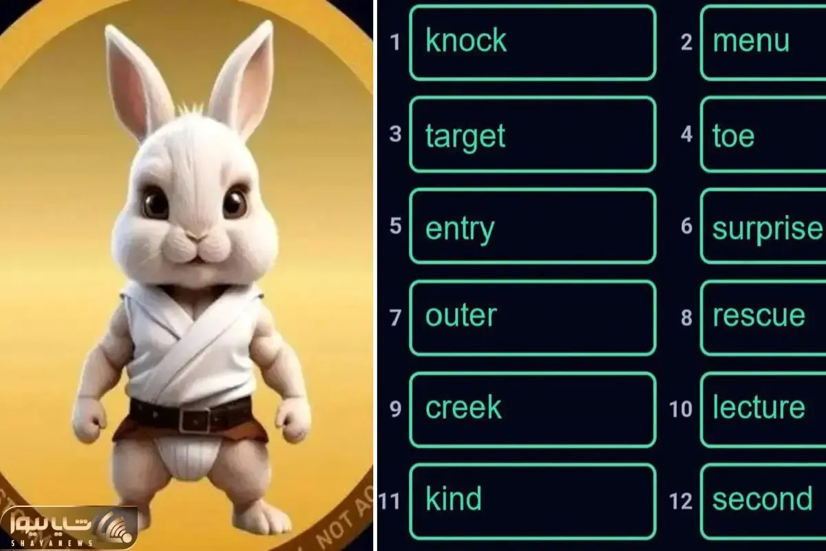 کارت های راکی رابیت (rocky rabbit) امروز یک شنبه 25 شهریور + آموزش وارد کردن