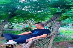 کشاورزی نوین؛ تنه ی درختو جوری بهم دوختن و گره زدن که هم صندلی بشه هم برگاش سایه بده