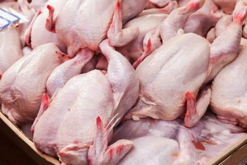 قیمت گوشت مرغ گرم امروز شنبه 6 دی 99