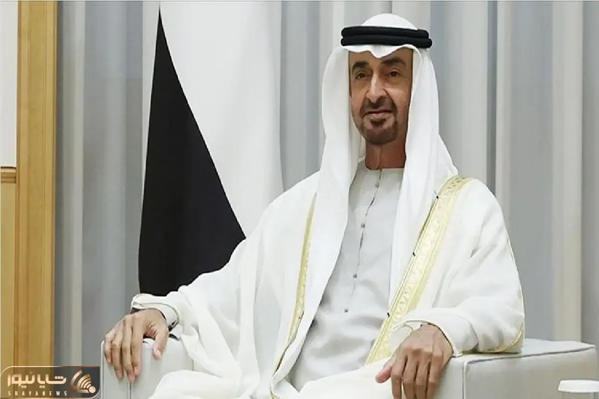 تایید سکته مغزی محمد بن زاید؛ اردوغان سفر به امارات را لغو کرد