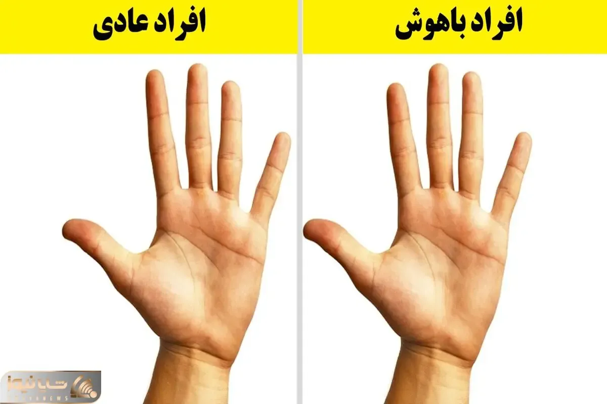 نشانه هایی که در کف دست افراد باهوش وجود دارد