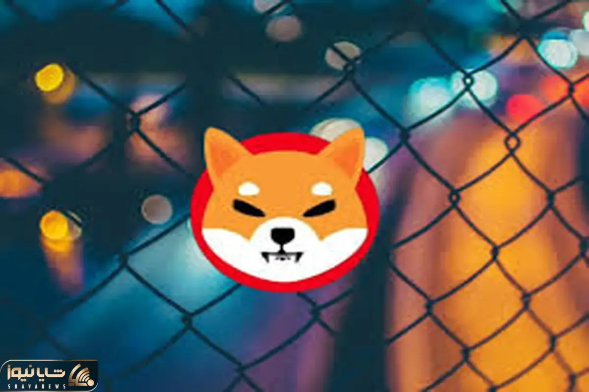 قیمت شیبااینودرچه صورت 2برابر میشود؟!