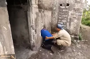 از جذابیت های حیات وحش؛ آقاهه ته کله خر هاست سرشو کرده تو سوراخی که توش پر مار