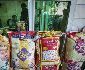 برنج چرا و چگونه افسار گسیخته گران شد؟