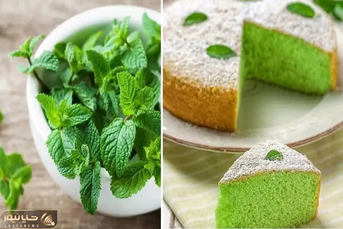 طرز تهیه کیک نعنا / خوش عطرترین کیک خونگی برای فصل سرما