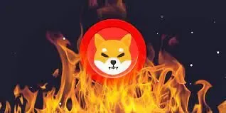 آتش بازی جنجال برانگیزشیبااینو!