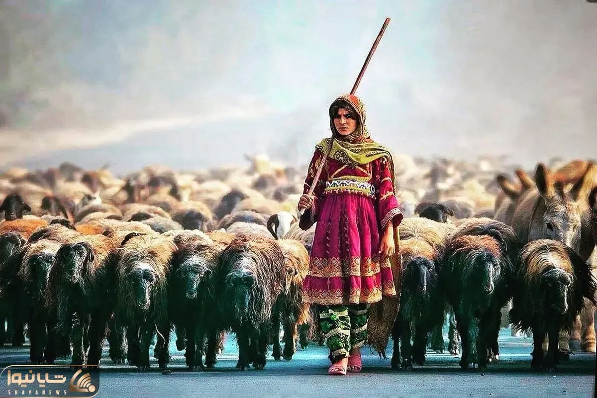 مطربی خیابانی؛ این دختر چوپان با لباس سرخ و سازش به یاد دختر چوپون چه دلنواز می نوازه
