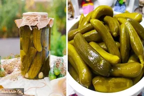 رازهای خیارشور خونگی ترد و خوشمزه / ترفندهایی که تا حالا هیچکس بهت نگفته