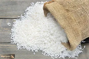 قیمت برنج ترمز برید