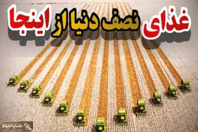 کشاورزی مدرن؛ 7 مزرعه بزرگ که غذای نصف کره زمین رو تامین می کند