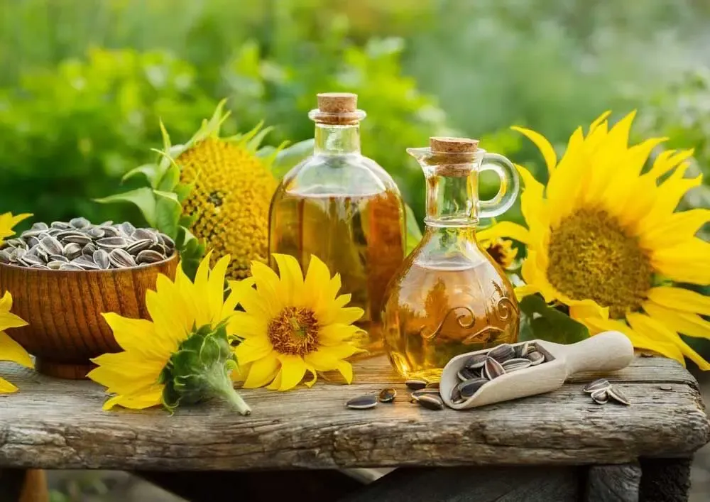 آیا روغن آفتابگردان برای سلامتی مفید است؟