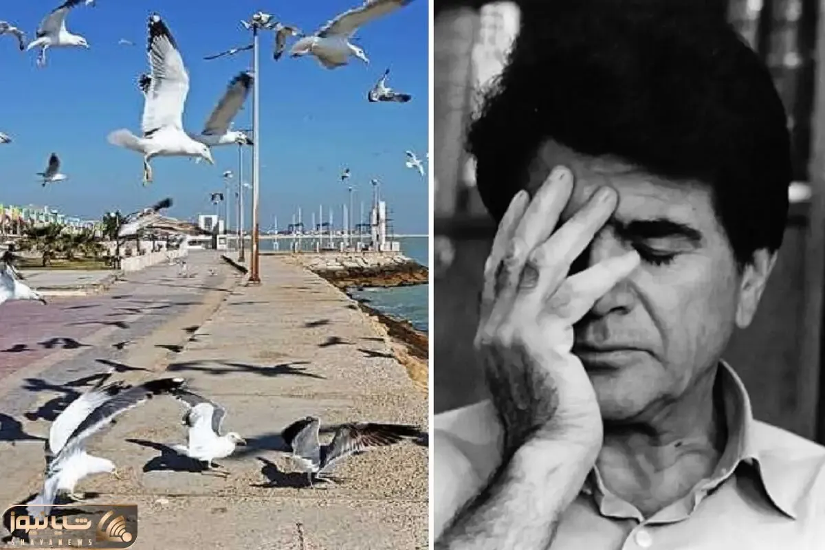 آواز بوشهری؛ محمدرضا شجریان تو حال هوای بوشهر یک نفس زد و هدر شد خوند