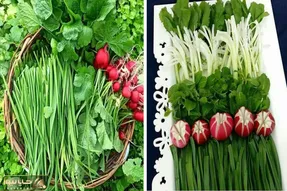 چگونه سبزی خوردن را تا 2 هفته تازه نگه داریم؟ / راهنمای گام به گام برای کیفیت سبزیجات