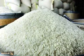 رشد 69 درصدی قیمت برنج؛ برنج 300 هزار تومانی واقعی است؟