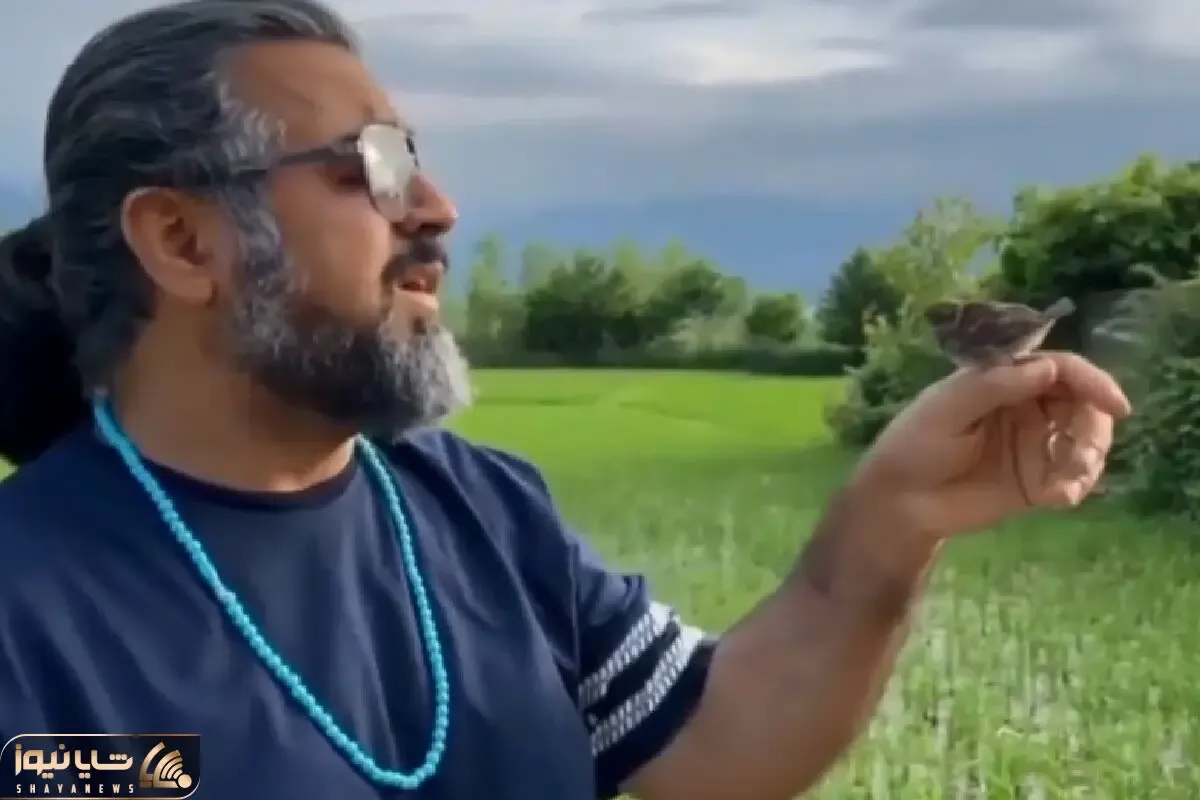 آواز محلی؛ آقای گیس بلند چه دبش آهنگ گیلکی میخونه فقط گنجشک که رو دستاش میرقصه!