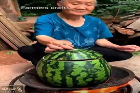آشپزی گربه شور؛ زنه هندونه رو قابلمه کرد اردک انداخت توش بپزه معده ام پیچید