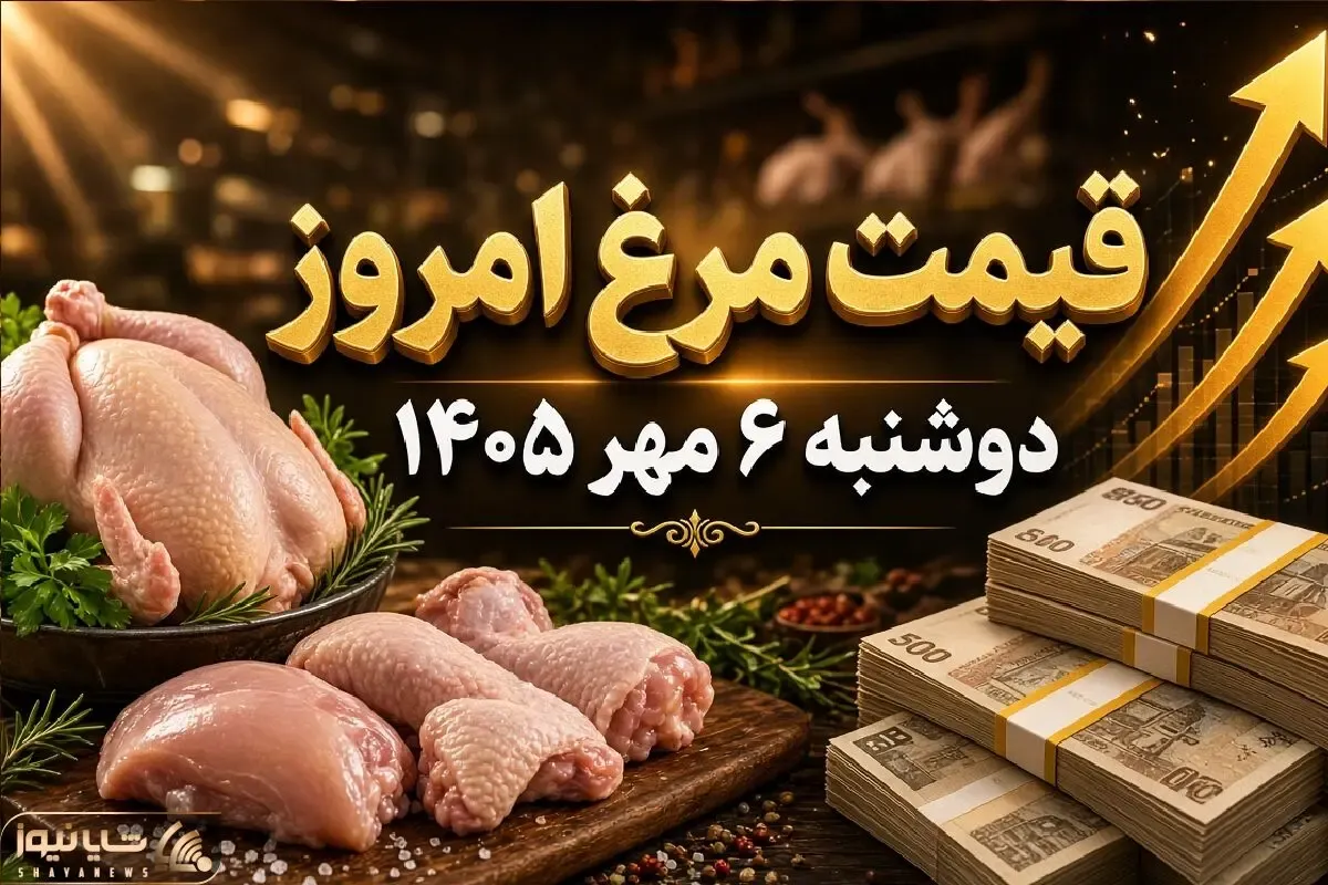 قیمت مرغ امروز دوشنبه 6 مهر 1405 / هر کیلو مرغ کامل چقدر شد؟