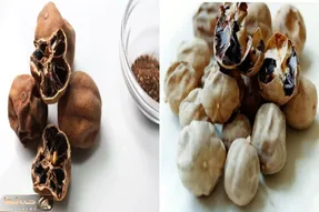 طرز تهیه لیموعمانی در خانه/ با این روش بهتر از بازاریا واسه خورشتت لیمو عمانی درست کن