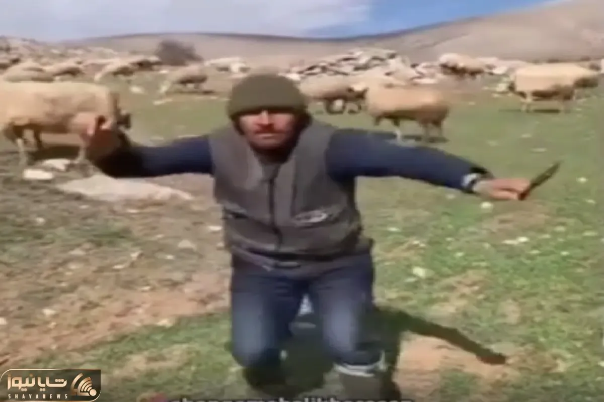 آواز شاد؛ مرد چوپان واسه 1 میلیون گوسفندش جوری بترکون رقصید ببعی یهو چفتک میپرونه