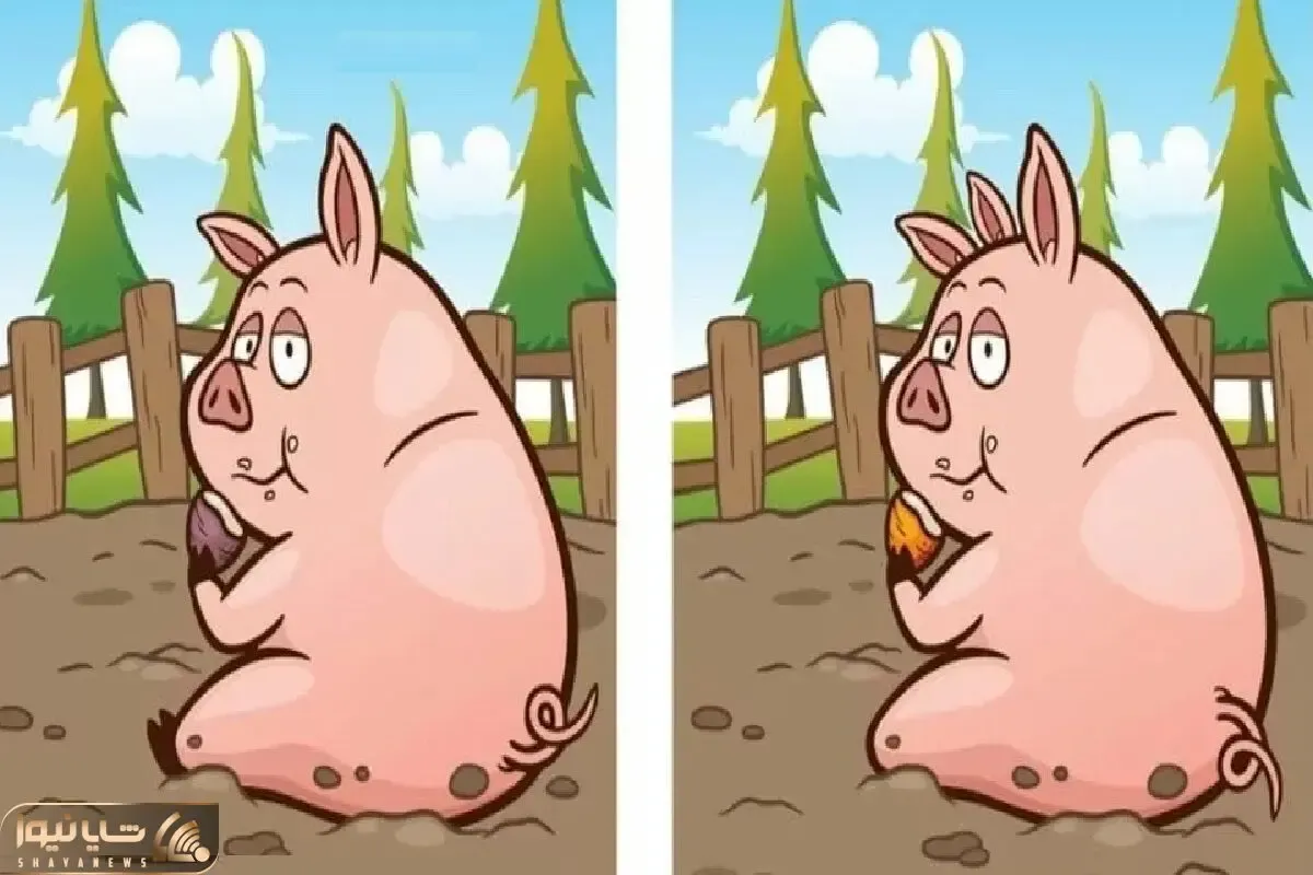 بازی فکری؛ تفاوت این خوک کثیف صورتی رو پیدا کن